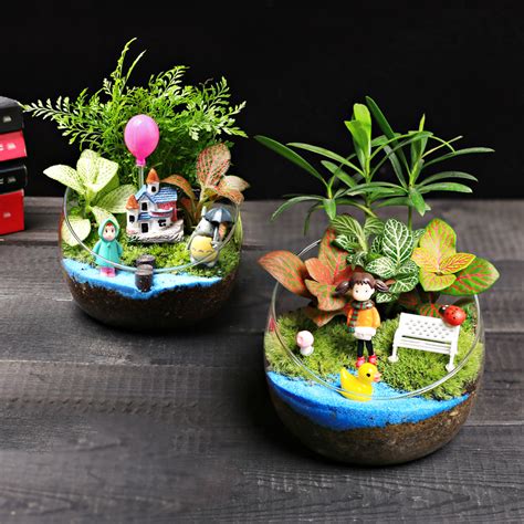 植物 diy